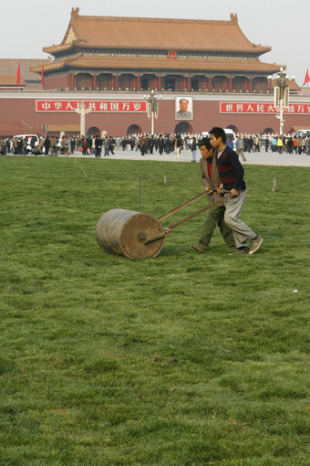 Imported grass grows at Tiananmen Square