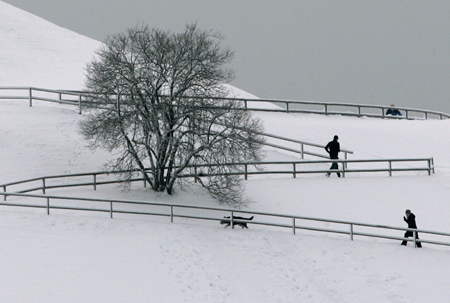 Munich Olympic park in Winter
