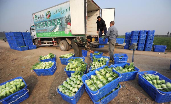 Local measures help stabilize prices