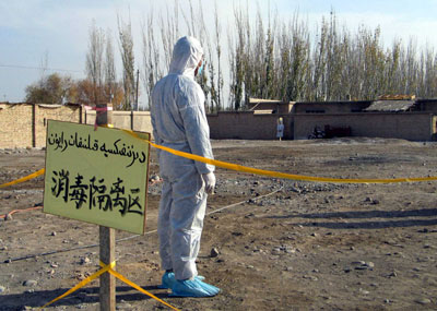 Xinjiang reports bird flu cases