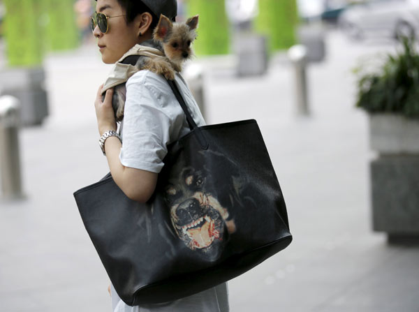 Top dog: China's newfound passion for pets is big business