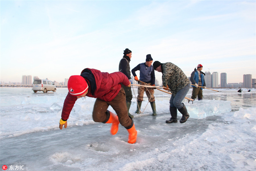 Harbin's ice movers: Tough job in chilly environment