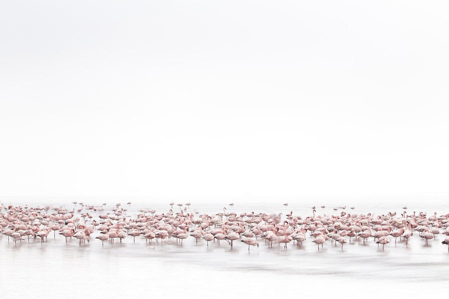 Chinese photographers win Sony World Photography Awards