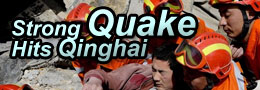 Rabies, anthrax closely monitored in quake-hit Yushu