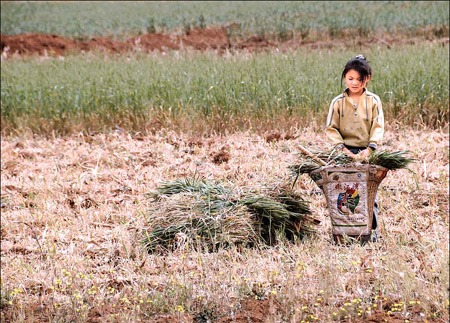 Farmers may have to find new jobs