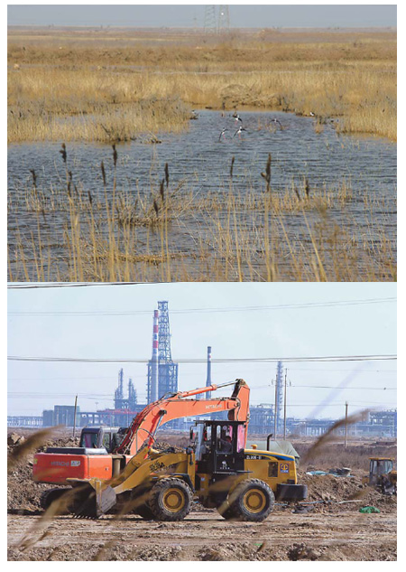 Polluting firms pose big threat to wetlands