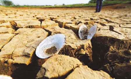 Lingering drought threatens harvest across Central China