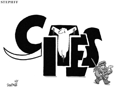 Cartoon