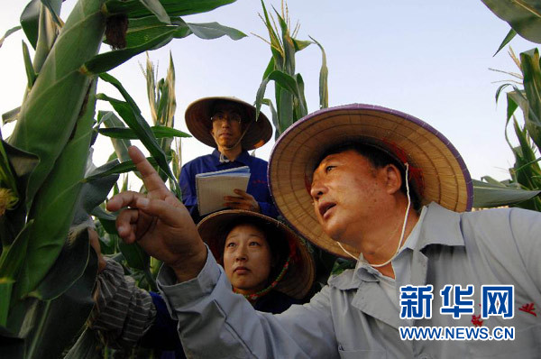 李登海：農(nóng)民科學(xué)家的報(bào)國(guó)夢(mèng)