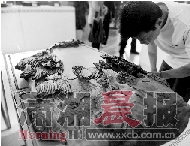 第二屆旅博會(huì)落幕 百余種旅游商品獲獎(jiǎng)