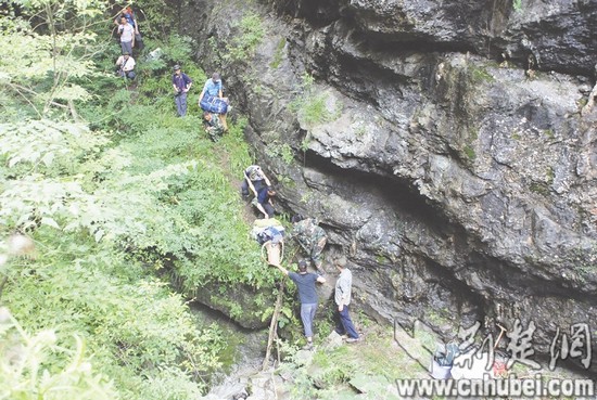 30多名科考隊(duì)員穿越神農(nóng)架 期待遇到“野人”