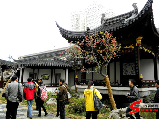 西部百億元村東嶺村百姓免費上學住房年年分紅