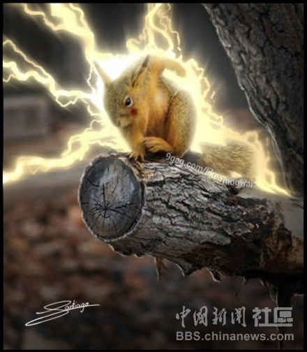 元芳很忙！細數(shù)那些一個不小心就火起來的“忙人”