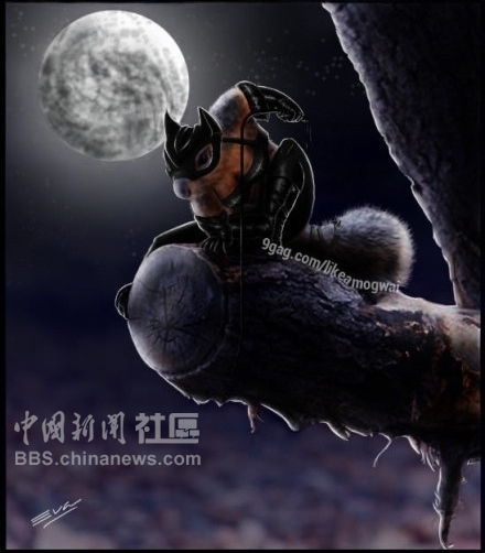 元芳很忙！細數(shù)那些一個不小心就火起來的“忙人”