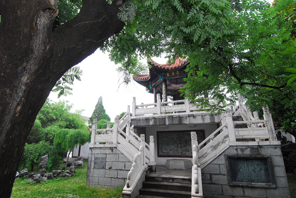 中國(guó)龍中國(guó)酒 古井貢酒“龍文化”品牌基因初探