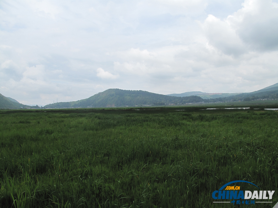 走進(jìn)騰沖北海濕地 體驗“人在畫中游”的美景