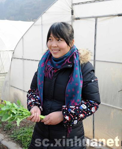 蔬菜大棚幫助青川災區(qū)農民走上致富道路