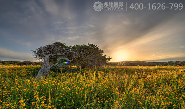 【永銘國際】解析：塞浦路斯購房移民的4個(gè)關(guān)鍵點(diǎn)