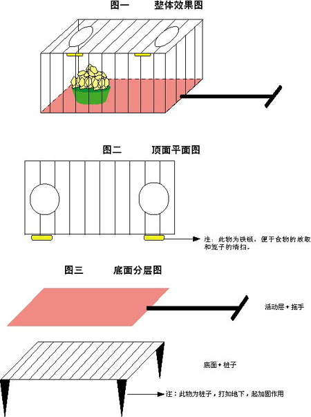 云南野生動(dòng)物園猩猩貪吃 熱心讀者出點(diǎn)子助其減肥