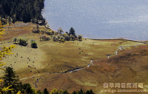 深秋秘境香格里拉[多圖]