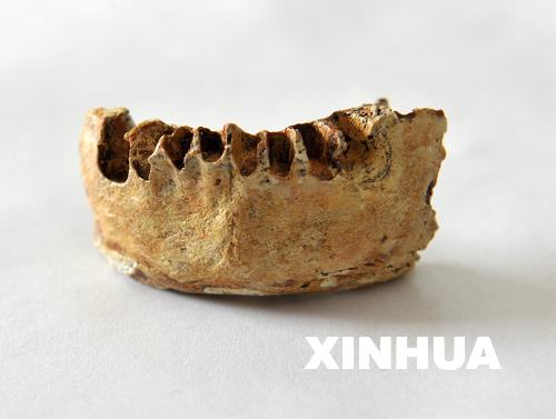 廣西發(fā)現(xiàn)早期現(xiàn)代人下頜骨距今11萬(wàn)年左右