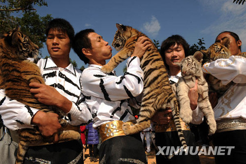 廣州香江野生動物世界虎園奠基