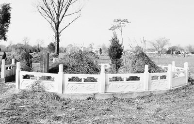 河南南陽出現(xiàn)民眾交錢可土葬現(xiàn)象(圖)