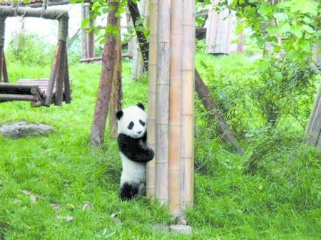 哥看的不是天空 是寂寞！