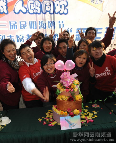 昆明為紅嘴鷗打造新年蛋糕