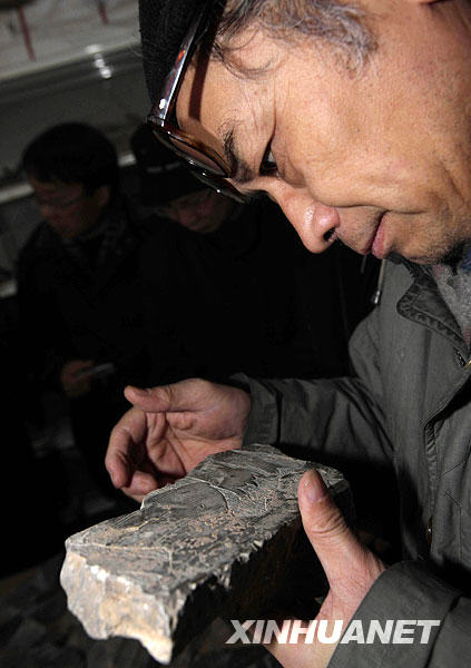 考古專家團(tuán)在安陽考察“曹操墓”