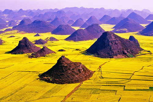 2010年云南羅平國(guó)際油菜花文化旅游節(jié)下月開(kāi)幕