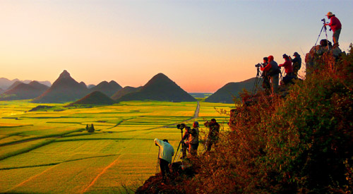 2010年云南羅平國(guó)際油菜花文化旅游節(jié)下月開(kāi)幕