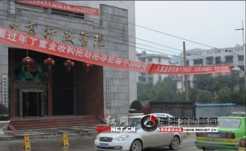 張家界街頭現(xiàn)標語:重金收購嫌犯貨到付款(圖)