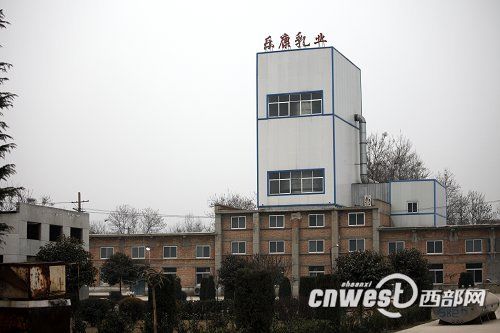 陜西毒奶粉案3人被捕 企業(yè)私用2008年過(guò)期乳粉