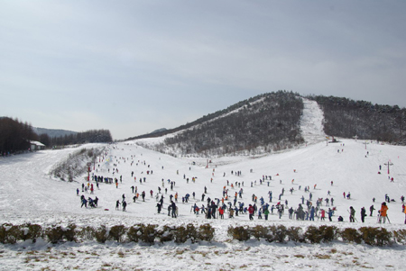 神農(nóng)架滑雪旅游春節(jié)強勢升溫