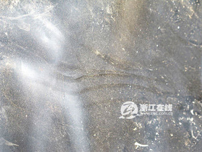 浙江天臺(tái)5名遇難兒童死因今公布 家屬擬追究責(zé)任