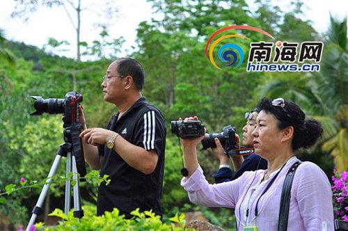 學(xué)者建議：建立世界級(jí)海南熱帶雨林國家公園
