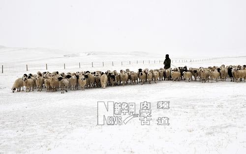 持續(xù)低溫降雪內蒙古克什克騰旗再次遭受雪災