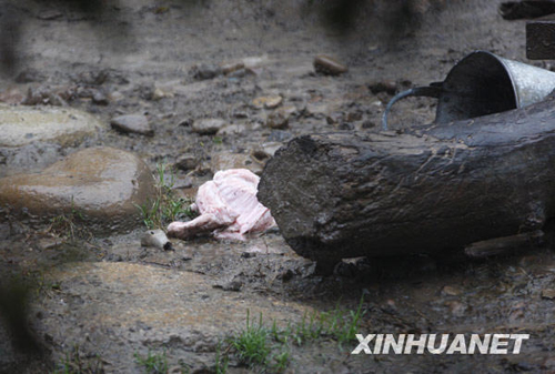 上海動(dòng)物園發(fā)生意外 老虎咬死飼養(yǎng)員