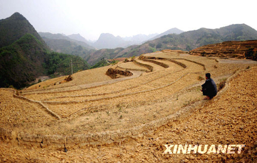 廣西12個(gè)市出現(xiàn)旱情 部分地區(qū)達(dá)到特大干旱等級(jí)
