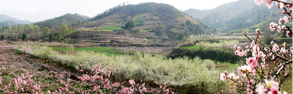 西峽生態(tài)美景如畫