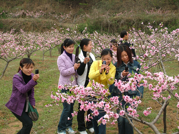 西峽生態(tài)美景如畫