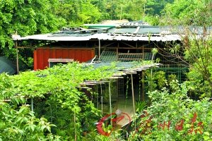 深圳房?jī)r(jià)逼近2萬 低價(jià)集裝箱房悄然興起