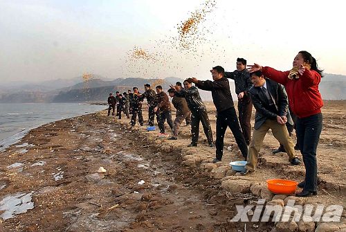 河南：三門峽榮獲“中國大天鵝之鄉(xiāng)”稱號(hào)