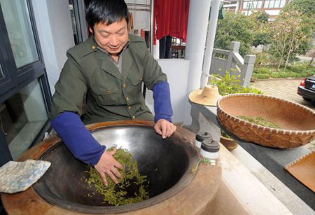西湖龍井新茶進(jìn)入采摘期