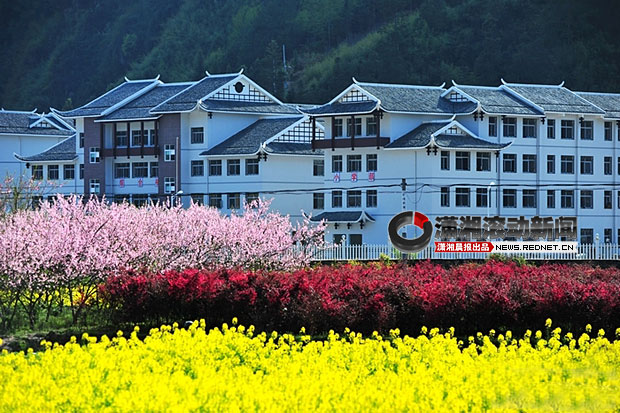 網(wǎng)友曝張家界“最牛鄉(xiāng)村學(xué)校”似別墅 耗資4000萬(wàn)