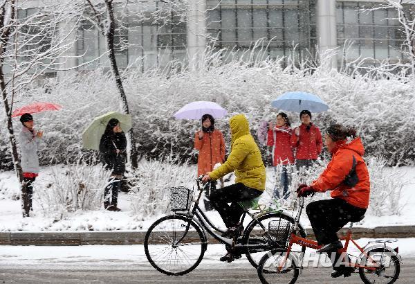 遼寧四月飛雪