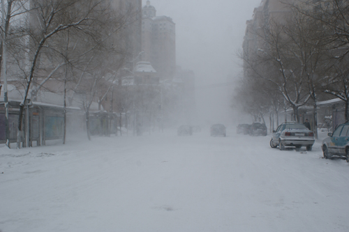 哈爾濱突遇40年罕見大雪