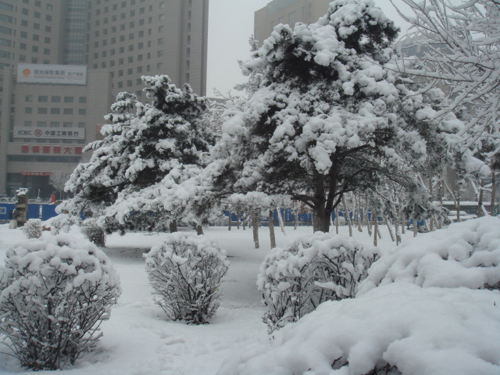 4月16日晨長(zhǎng)春普降瑞雪
