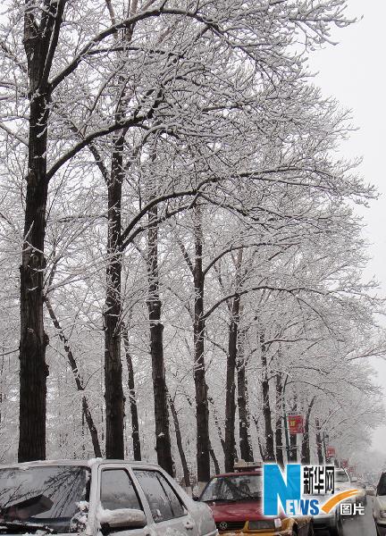 吉林省出現(xiàn)大范圍雨雪天氣
